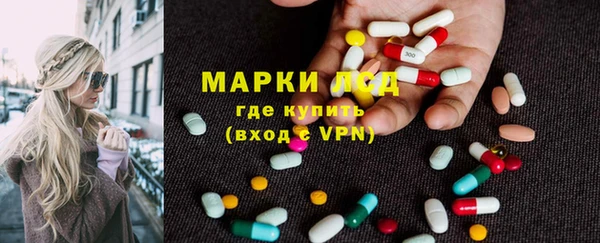 тгк Бородино