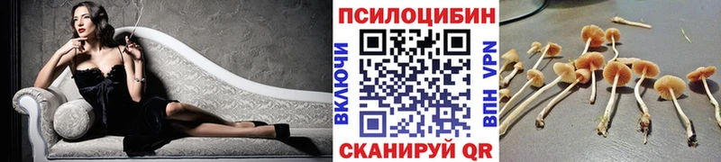 Галлюциногенные грибы Cubensis  Боровск 