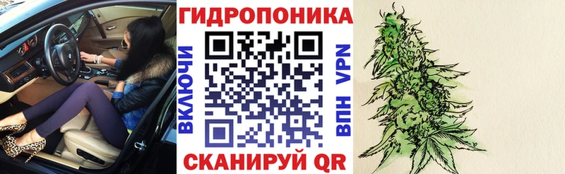 мега ONION  Боровск  Бошки Шишки планчик  сколько стоит 